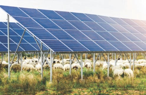 Professional Solar Services in Lucknow – Krishna Solar