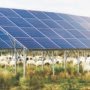 Understanding the Solar Subsidy in India – A Guide by Takshaya Power 90x90