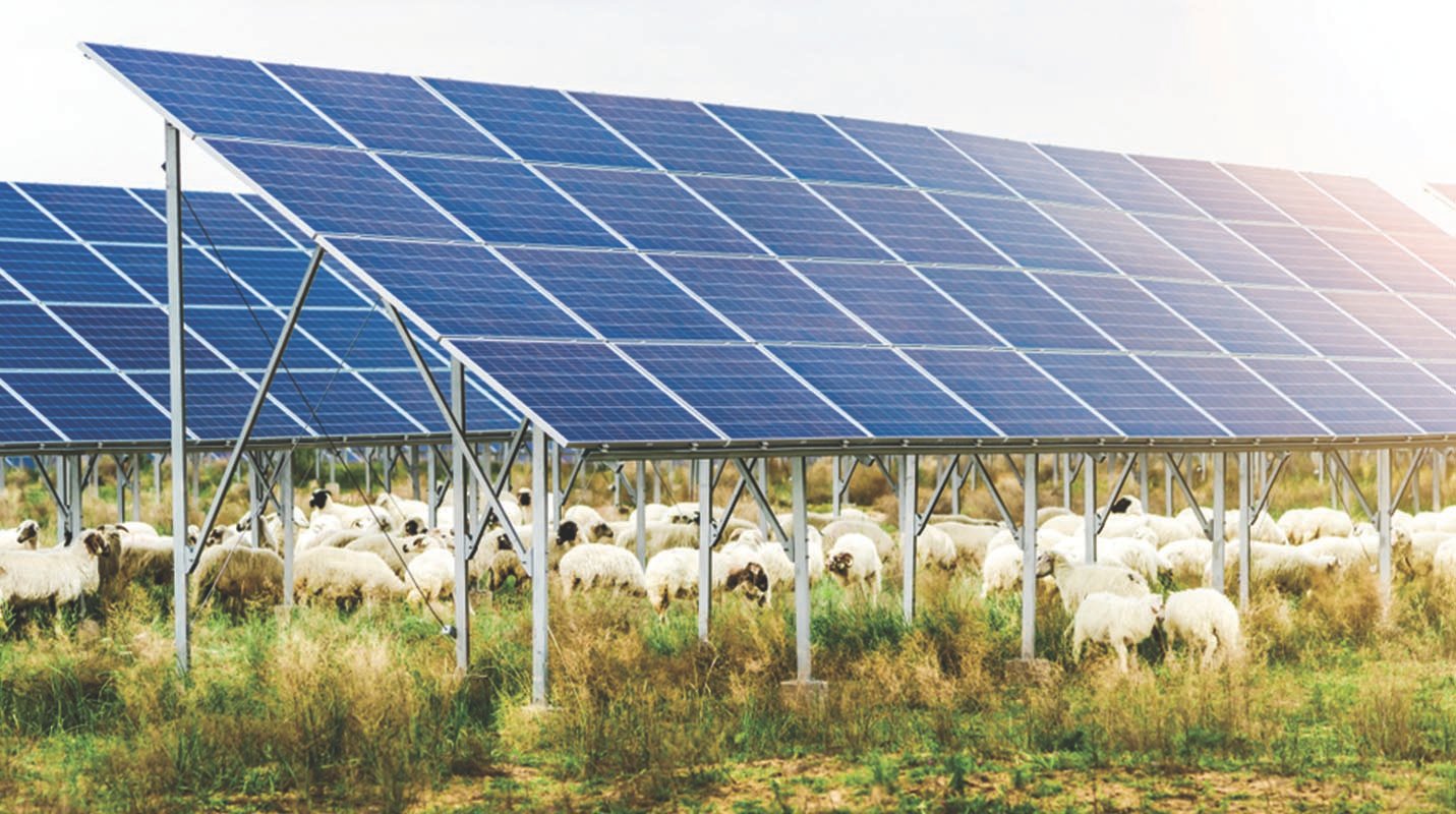 Professional Solar Services in Lucknow – Krishna Solar